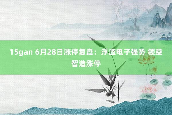 15gan 6月28日涨停复盘：浮滥电子强势 领益智造涨停