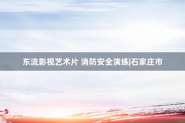 东流影视艺术片 消防安全演练|石家庄市