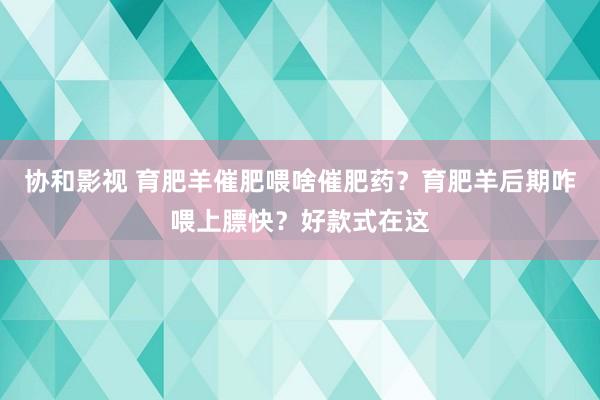 协和影视 育肥羊催肥喂啥催肥药？育肥羊后期咋喂上膘快？好款式在这