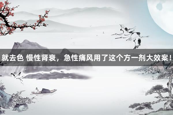 就去色 慢性肾衰，急性痛风用了这个方一剂大效案！